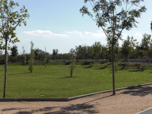 Parc del Manol 2 - tarda d'octubre 2010