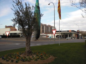 Parterre rotonda entrada a Figueres per Girona - Desembre 2010