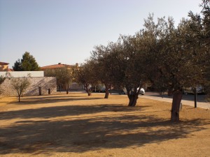 Parc dels Olivars